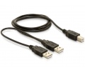 Delock USB 2.0-B – USB-A hálózati + hálózati/adat 