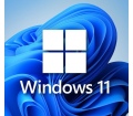 Microsoft Windows 11 Pro MLG elektronikus licenc