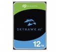 Seagate Skyhawk AI 12TB