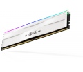 SILICON POWER XPOWER Zenith RGB DDR5 5600MHz CL40 