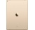 Apple iPad Pro Wi-Fi LTE 128GB Gold