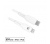 Ewent Lightning - USB Type-C kábel 1m fehér