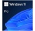 Windows 11 Pro DSP OEI DVD