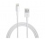 Apple Lightning / USB OEM