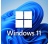 Microsoft Windows 11 Pro MLG elektronikus licenc