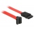 Delock cable SATA 22cm up/straight red