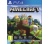 Minecraft Bedrock PS4