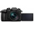 Panasonic LUMIX DC-GH5L + Leica 12-60mm
